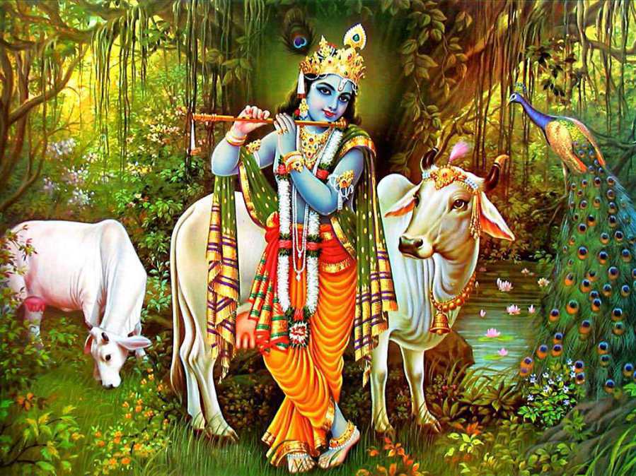 lord krishna